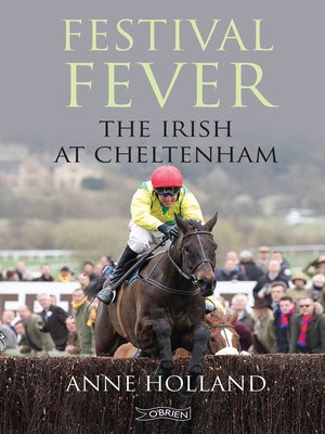 cover image of Festival Fever
